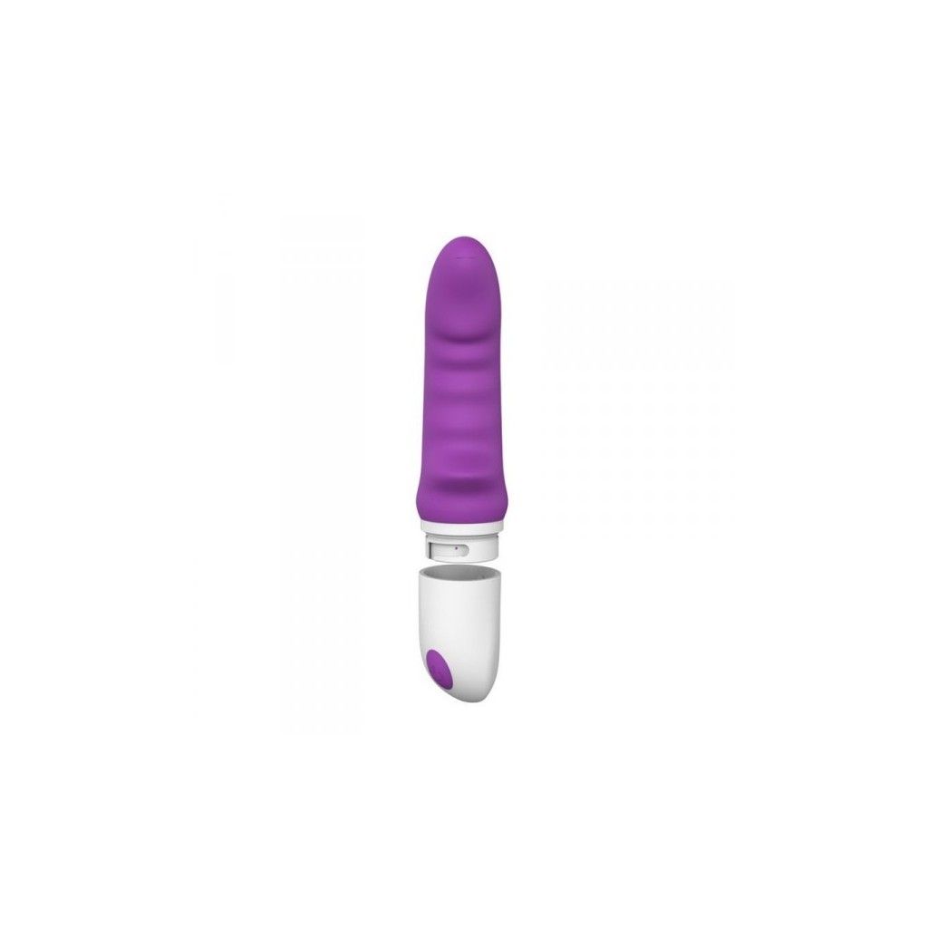 Acquista Dildo vibrante fallo vaginale realistico per punto G sex toys  impermeabile per donna purple su MyShopSecret