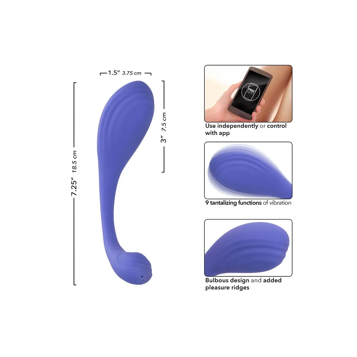 CalExotics Connect Kegel Exerciser