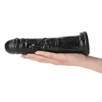 Dildo realistico ventosa Diego 21.5 cm nero