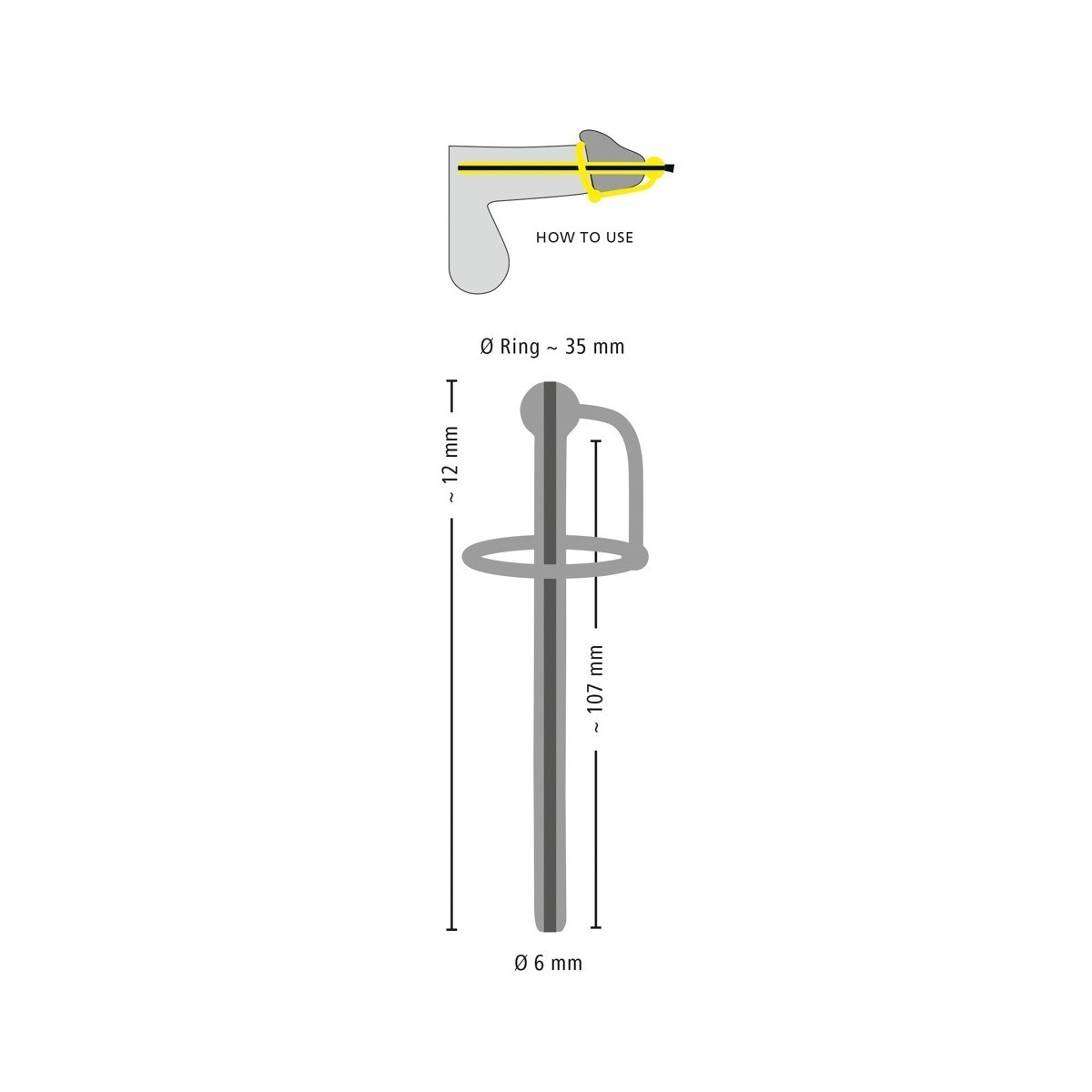 Penis plug dilatatore Piss Play con anello